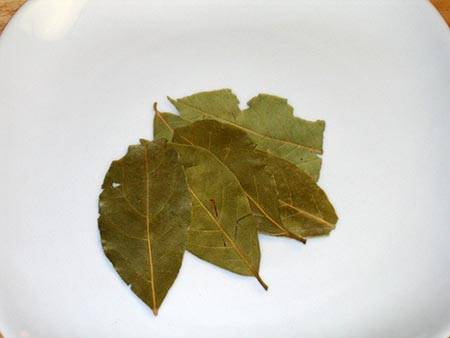 Bay Leaf