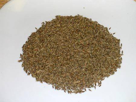 Cumin seed